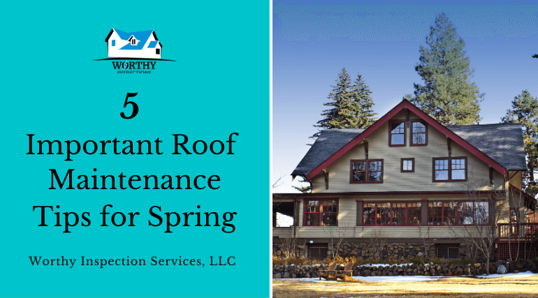 5 Important Roof Maintenance Tips for Spring