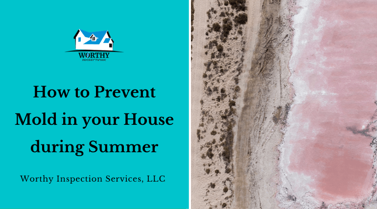 How to Prevent Mold in your House during Summer