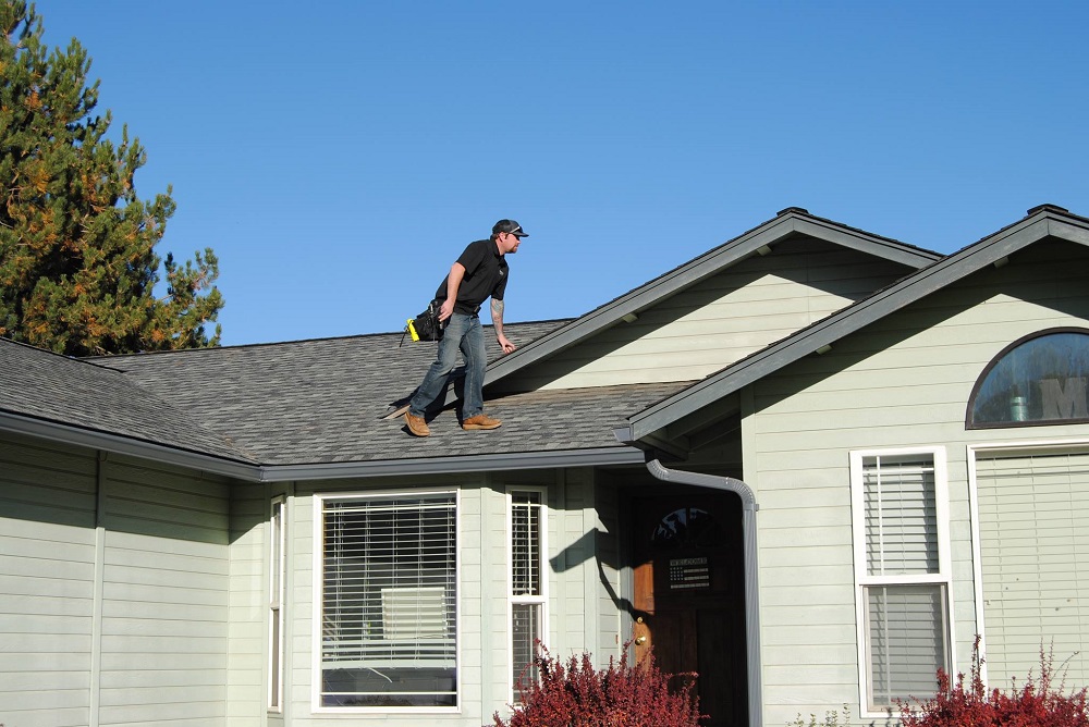 Home Maintenance: Why You Need a Professional Roof Inspection